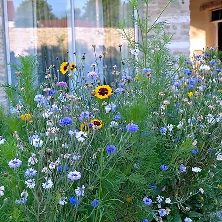 La Ferme Pateli B&B 3*